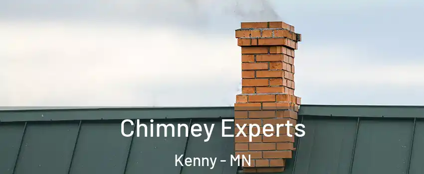 Chimney Experts Kenny - MN