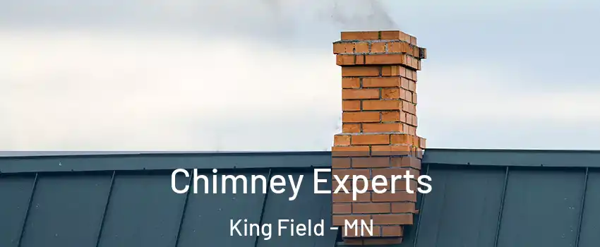 Chimney Experts King Field - MN
