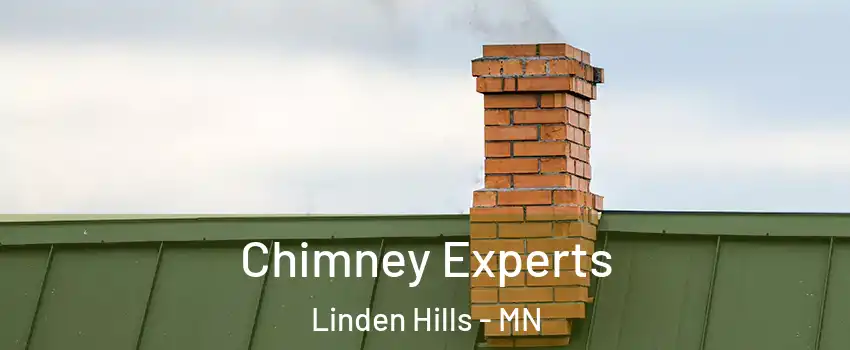 Chimney Experts Linden Hills - MN
