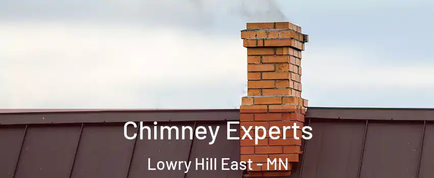 Chimney Experts Lowry Hill East - MN