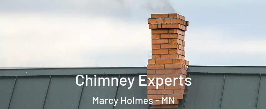 Chimney Experts Marcy Holmes - MN