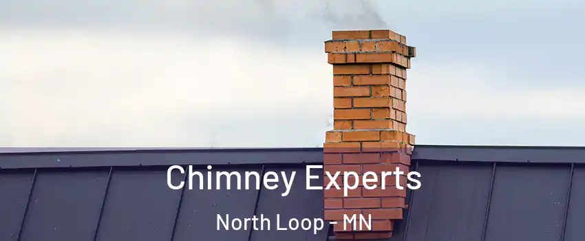 Chimney Experts North Loop - MN