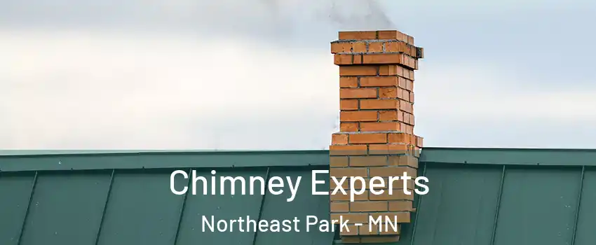 Chimney Experts Northeast Park - MN