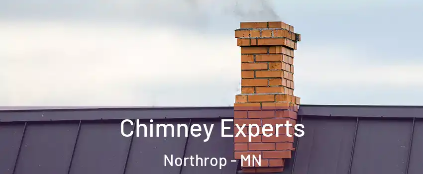 Chimney Experts Northrop - MN