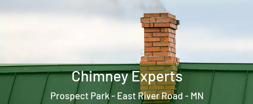 Chimney Experts Prospect Park - East River Road - MN