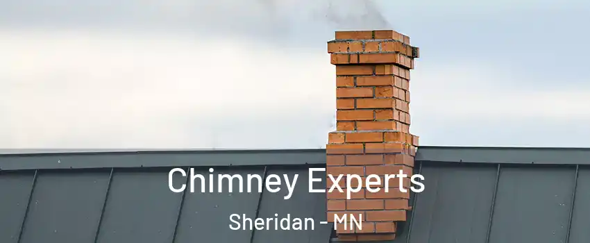 Chimney Experts Sheridan - MN