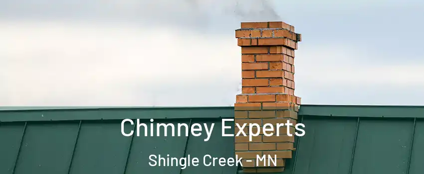 Chimney Experts Shingle Creek - MN