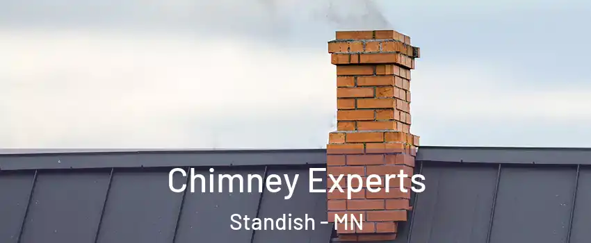 Chimney Experts Standish - MN