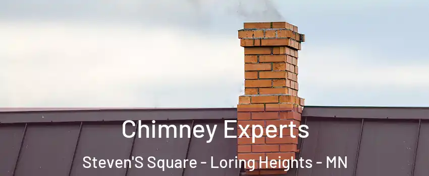 Chimney Experts Steven'S Square - Loring Heights - MN