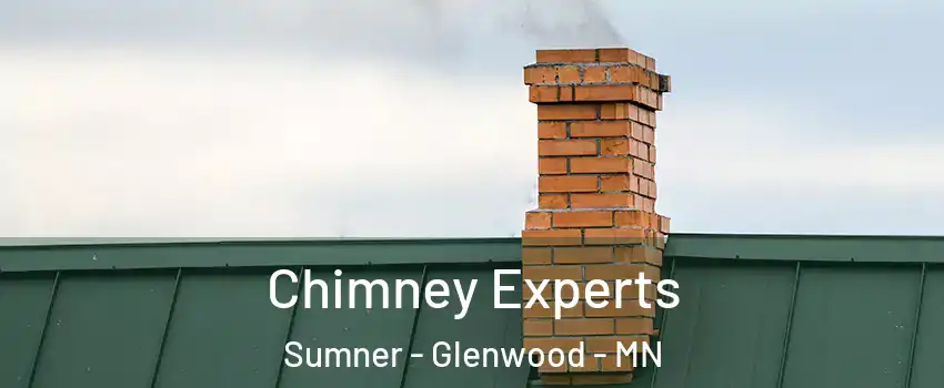 Chimney Experts Sumner - Glenwood - MN