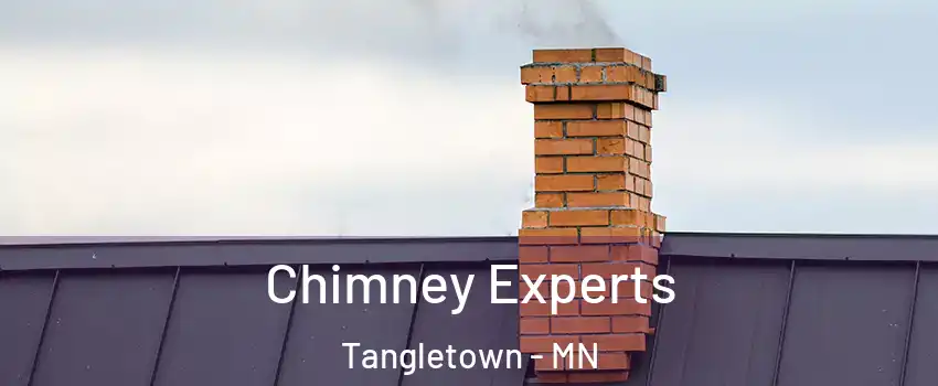 Chimney Experts Tangletown - MN