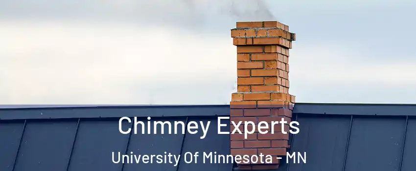 Chimney Experts University Of Minnesota - MN