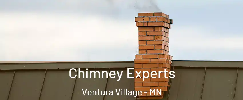 Chimney Experts Ventura Village - MN