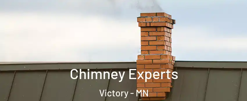 Chimney Experts Victory - MN