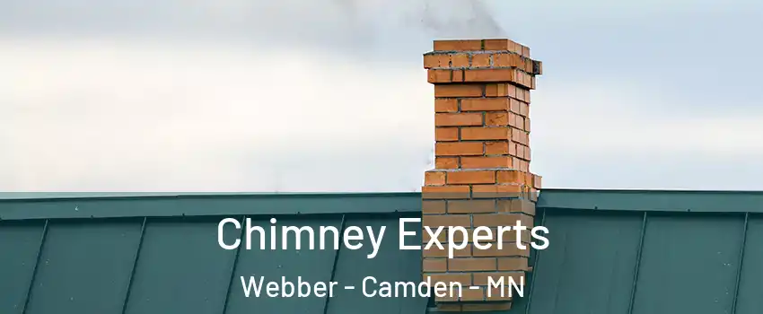 Chimney Experts Webber - Camden - MN