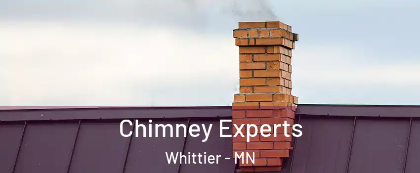 Chimney Experts Whittier - MN
