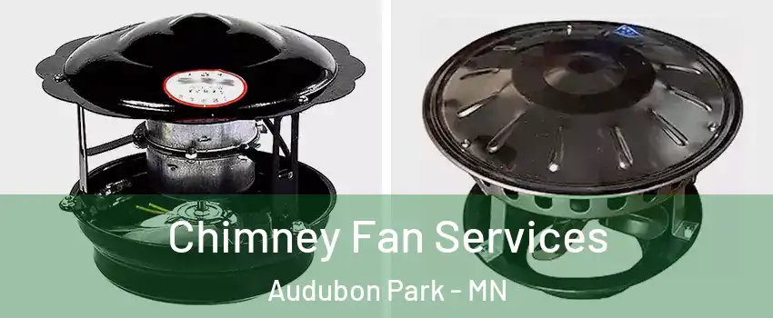 Chimney Fan Services Audubon Park - MN