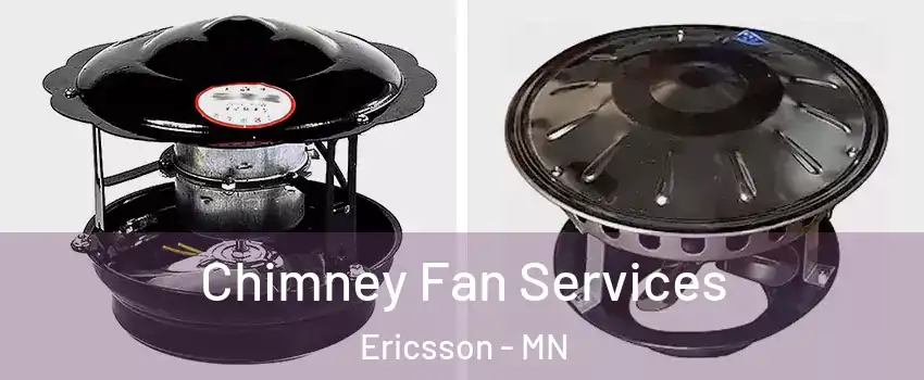 Chimney Fan Services Ericsson - MN