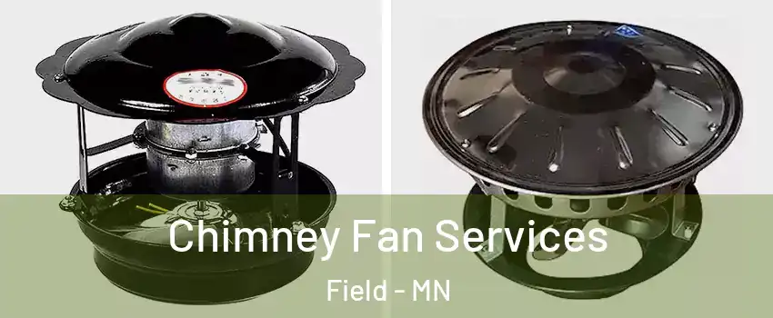 Chimney Fan Services Field - MN