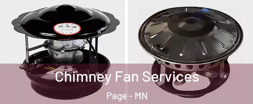 Chimney Fan Services Page - MN