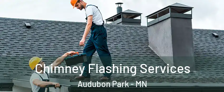 Chimney Flashing Services Audubon Park - MN