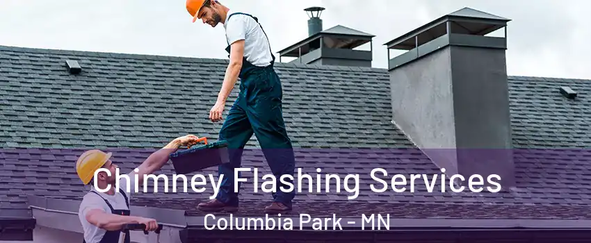 Chimney Flashing Services Columbia Park - MN