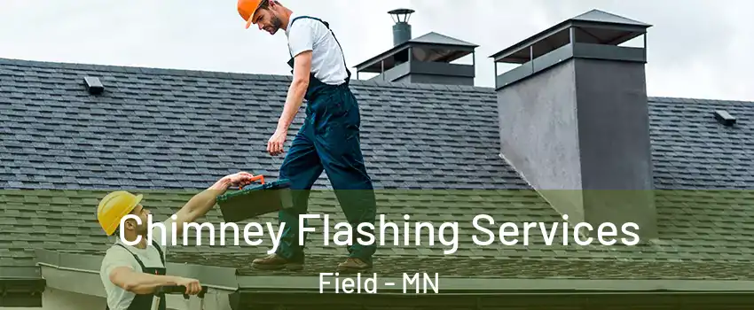 Chimney Flashing Services Field - MN