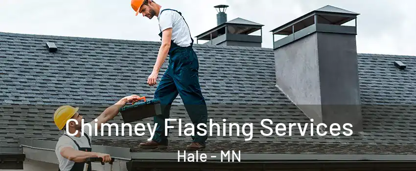Chimney Flashing Services Hale - MN