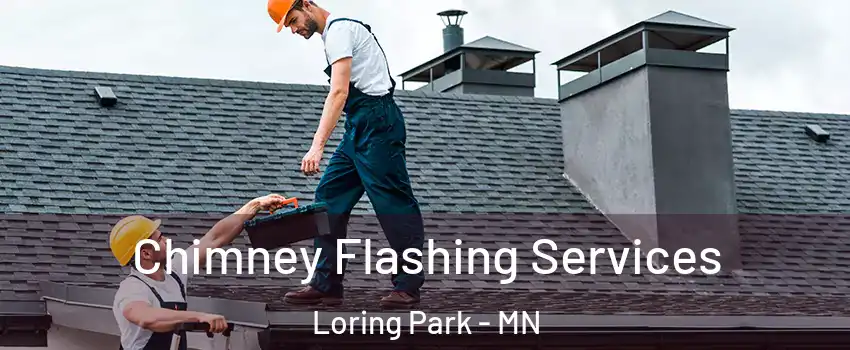 Chimney Flashing Services Loring Park - MN