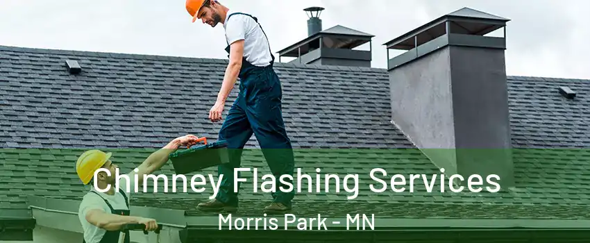 Chimney Flashing Services Morris Park - MN