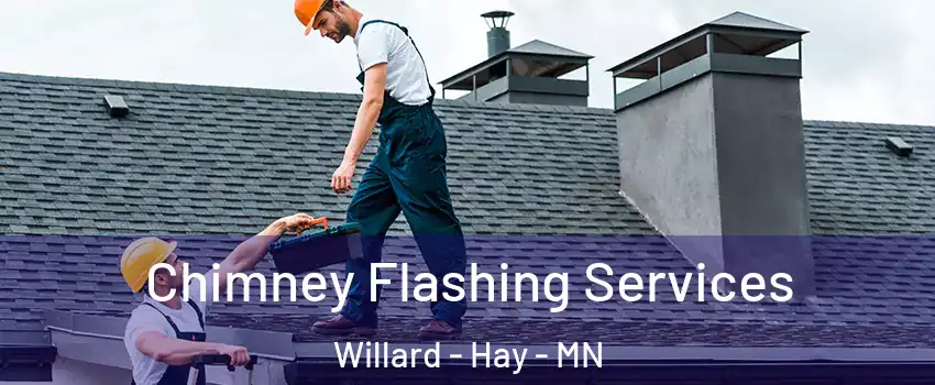 Chimney Flashing Services Willard - Hay - MN