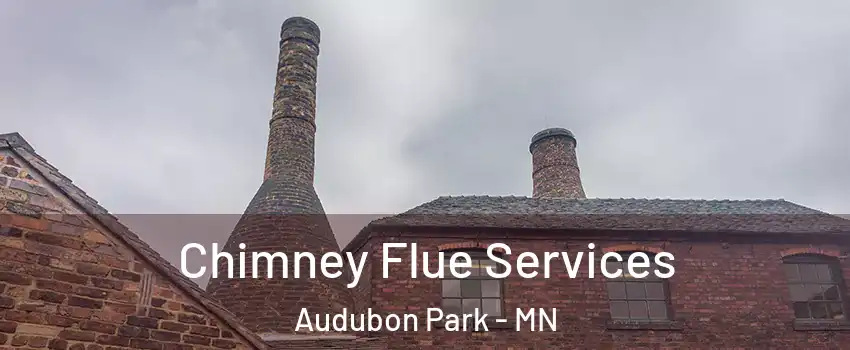 Chimney Flue Services Audubon Park - MN