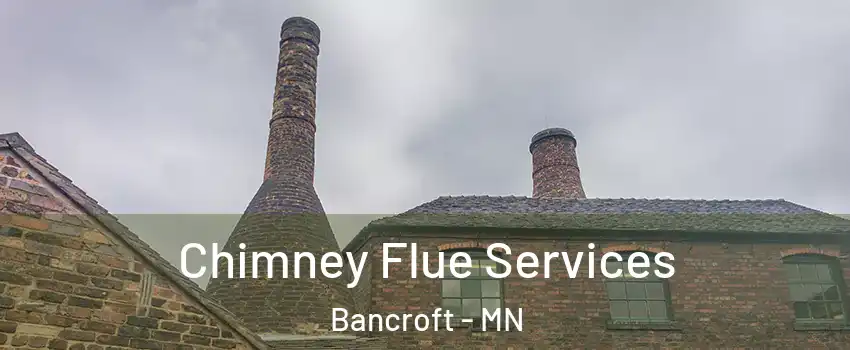 Chimney Flue Services Bancroft - MN