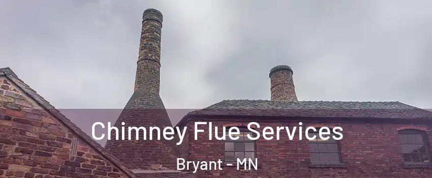 Chimney Flue Services Bryant - MN