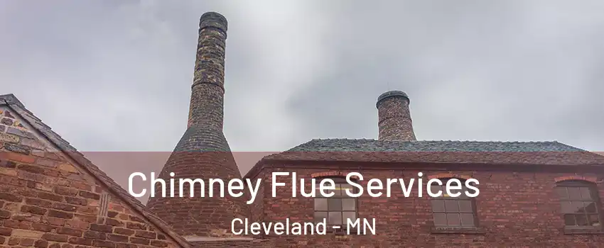 Chimney Flue Services Cleveland - MN