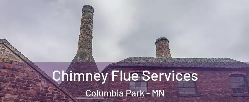 Chimney Flue Services Columbia Park - MN