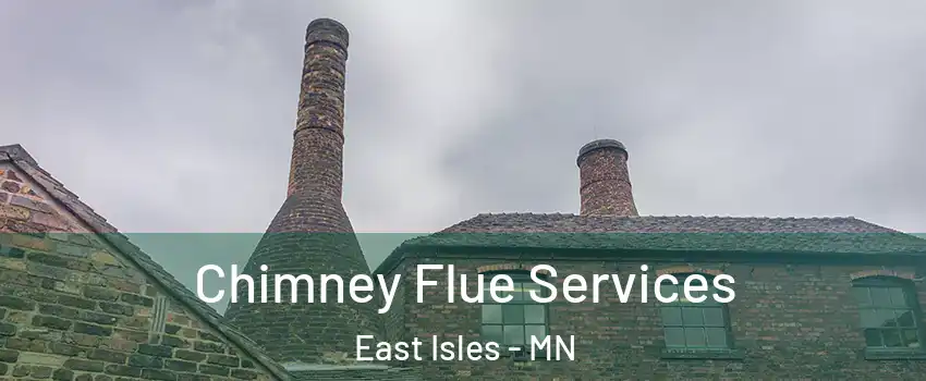 Chimney Flue Services East Isles - MN