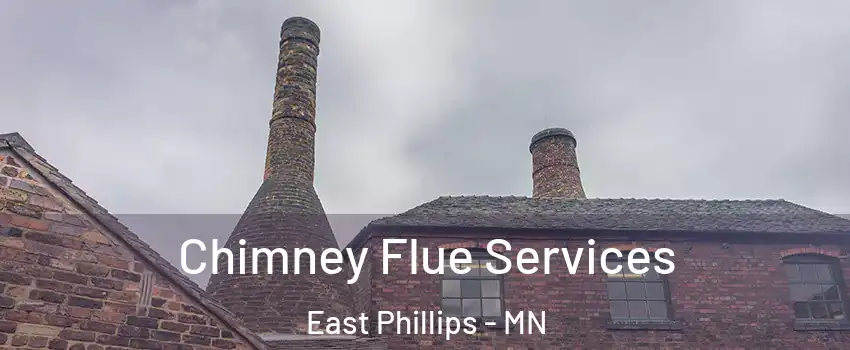 Chimney Flue Services East Phillips - MN