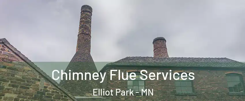 Chimney Flue Services Elliot Park - MN