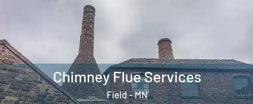 Chimney Flue Services Field - MN