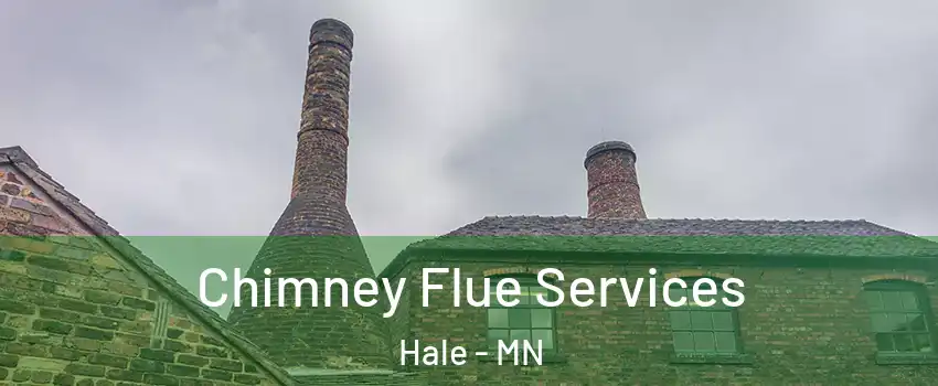 Chimney Flue Services Hale - MN