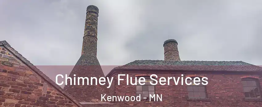 Chimney Flue Services Kenwood - MN