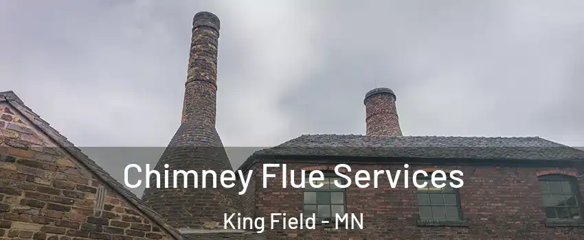 Chimney Flue Services King Field - MN