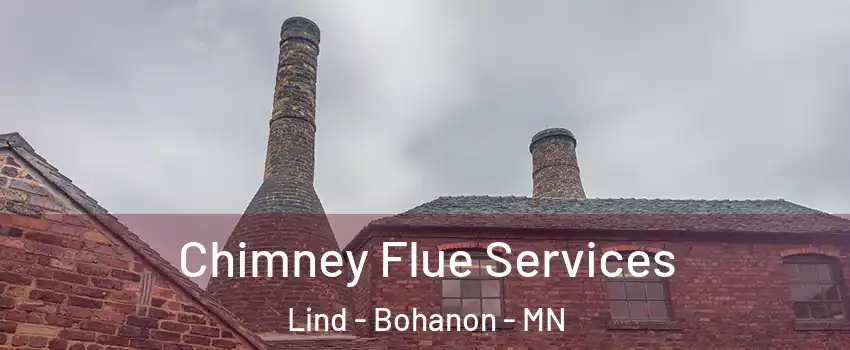 Chimney Flue Services Lind - Bohanon - MN
