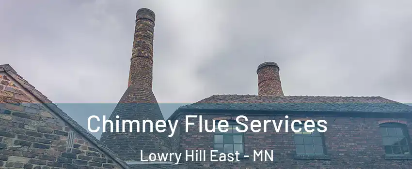Chimney Flue Services Lowry Hill East - MN