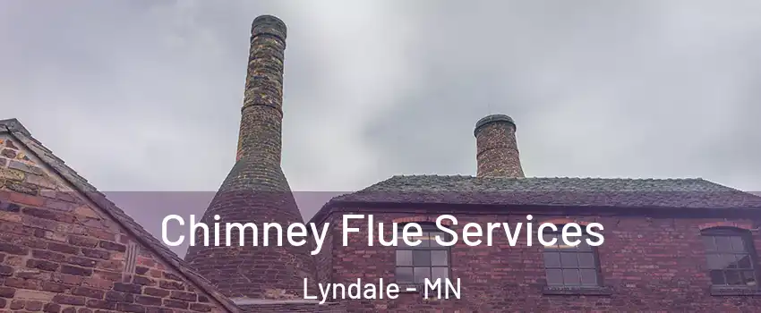 Chimney Flue Services Lyndale - MN