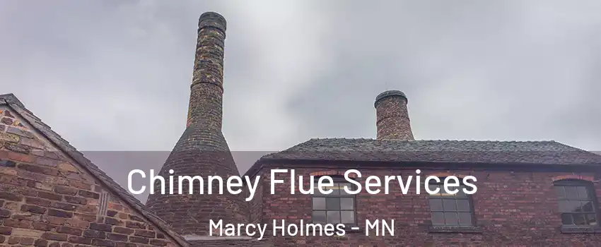 Chimney Flue Services Marcy Holmes - MN