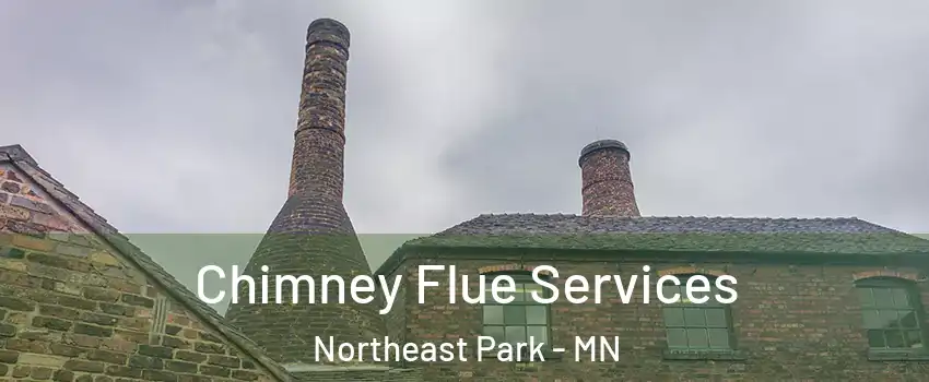 Chimney Flue Services Northeast Park - MN