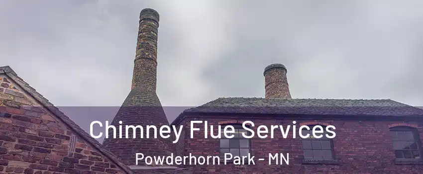 Chimney Flue Services Powderhorn Park - MN