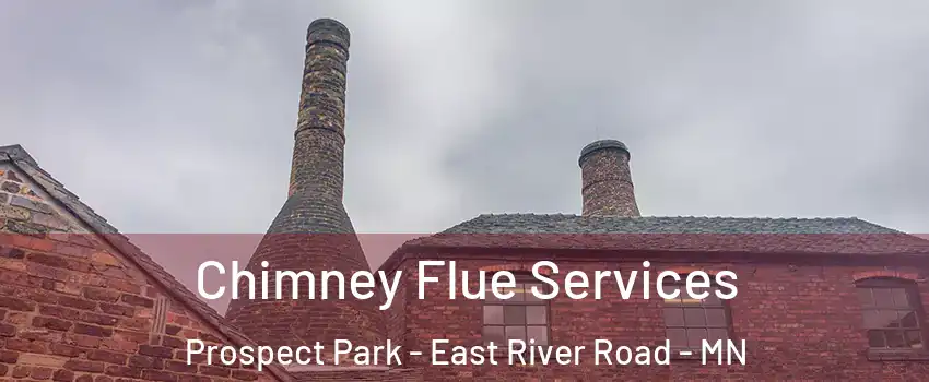 Chimney Flue Services Prospect Park - East River Road - MN